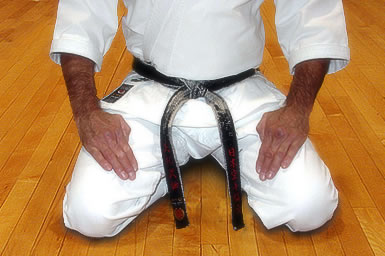 <b>American</b> <b>Amateur</b> <b>Karate</b> Federation Great Lakes Region