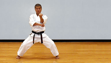 tekki shodan